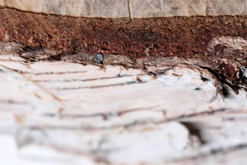Wooden textural background