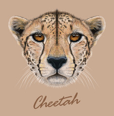 Cheetah animal cute face. Vector African wild fast cat head portrait. Realistic fur portrait of cheetah isolated on beige background. © ant_art19