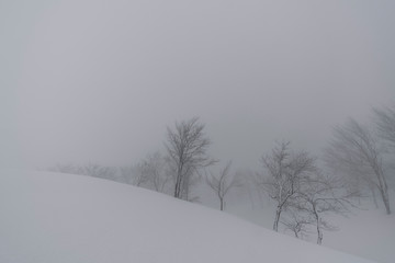 八海山　雪の風景（吹雪）