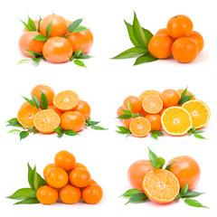 tangerines on white background - collage