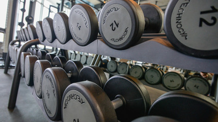 weights in the gym