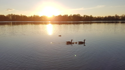 Lake Fasanerie in Munich