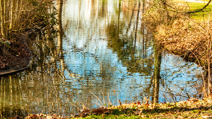 Stream with crystal clear waters with reflections of trees and plants, wonderful and sunny winter...