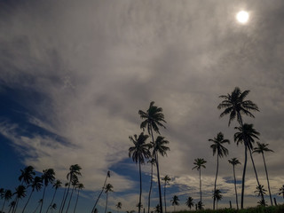 Obraz premium Sun over the tropical beach with coconut palm at Porto de Galinhas, Brazil. Silhouettes of palm trees and amazing cloudy sky on sunset at tropical Beach.