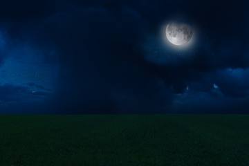 Fototapeta na wymiar Night landscape with moon and stars