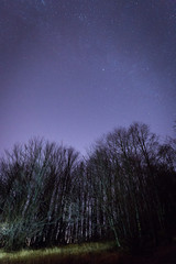 Night sky with stars