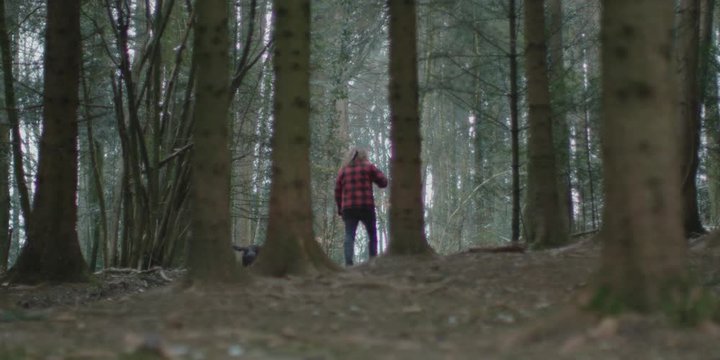 lumberjack walk in the forest
