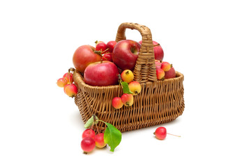 basket with apples on a white background