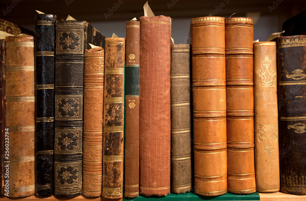 Wall mural vintage bookshelf with many books in leather covers, printed at 19th century and before. knowledge b