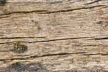 grunge texture of old weathered wood