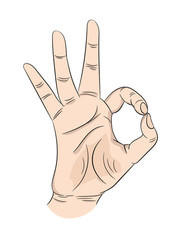 Ok human hand gesture depicting approval, consent on isolated white background