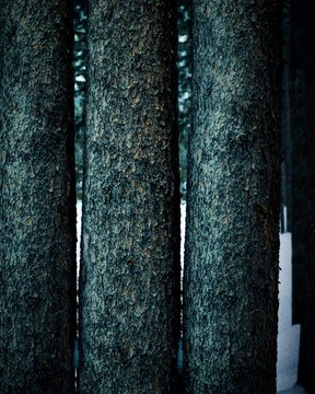 three brown wooden tree log
