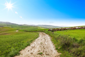 Spring landscape of Tuscany and free space for your decoration. 