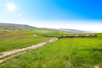 Spring landscape of Tuscany and free space for your decoration. 