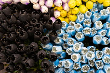 Tulipani colorati neri blu  gialli e azzurri