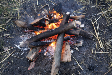 Fire flame