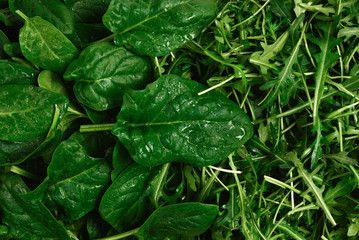 Fresh leaves of arugula and spinach as background.