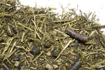  Diet muesli  with herbs background for horse. macro