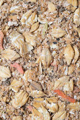  natural  muesli  background with barley and carrot. for horse.  macro shot