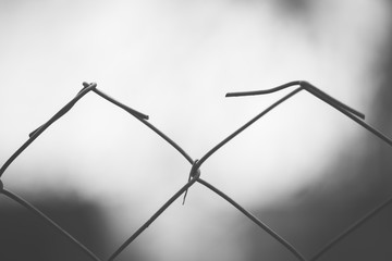 Fototapeta na wymiar Barbed wire fence closeup. Macro photo. Selective focus.