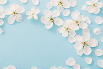 cherry flowers on paper background
