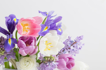 beautiful sprinf flowers on white background