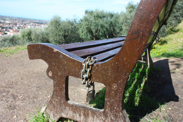 a lonely public park on a beautiful spring day. a wooden bench rests in the green garden next to an olive grove. on one side someone attacked a steel chain and a padlock