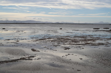 beach in winter
