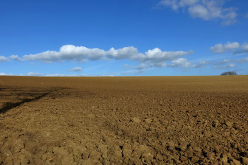 Campagna