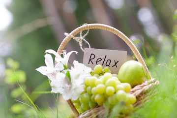 Picnic basket with grapes, apples, concept of relaxation