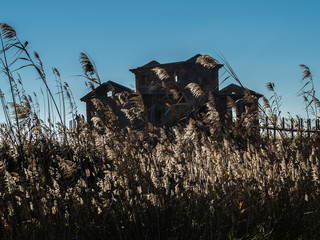 casa vieja © Cecilia