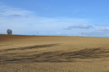 Fototapeta premium Campagna