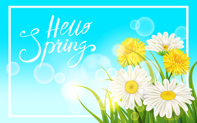 Fototapeta premium Spring daisies, chamomiles dandelions juicy green lettering Spring grass background Template for banners, web, flyer. Vector illustration isolated.