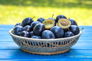 Organic plums in basket on table at garden