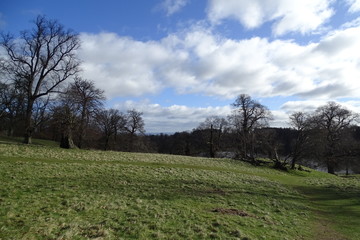 Obraz premium Cloudy blue skies and trees