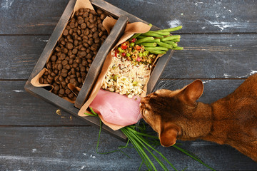 Special pet food VS natural pet food. Ingredients turkey, groats, rise, greens and sprouts in brown wooden box on rough dyed wooden background. Flat lay.