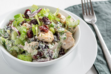 Salad with celery, chicken, cranberry, red onion, dill and yogurt.