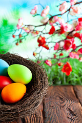 Colored Easter eggs in the nest on wooden table and springtime nature background