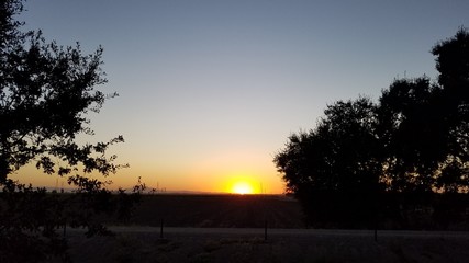 Multicolored sunset with silhouette of trees over field