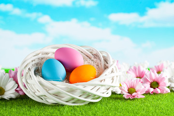 Three colored Easter eggs in the nest, pink and white flowers on grass and blue sky background
