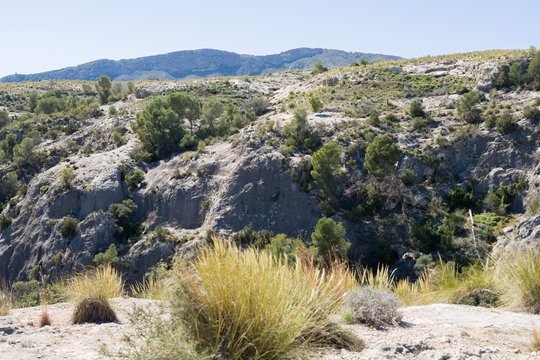 Beautiful alpine landscape, green mountain enviroment and blue sky in a sunny day