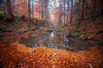 Autumn in Bieszczady Poland