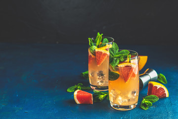 Grapefruit and mint gin tonic drink