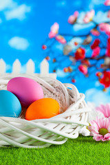 Easter eggs in white nest on grass and spring nature background