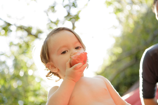 Toddler takes a bite of whole tomato
