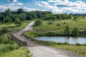 Bridge over the pond