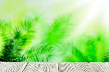 Wooden board with empty space on palm branches background