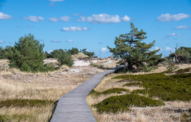 Durch die Dünen am Darßer Ort