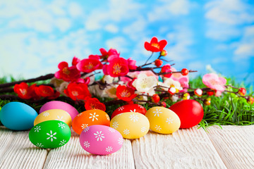 Colorful Easter eggs on wooden table and branch with flowers on grass and blue sky background