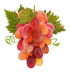 Fresh grapes isolated on white background with clipping pass